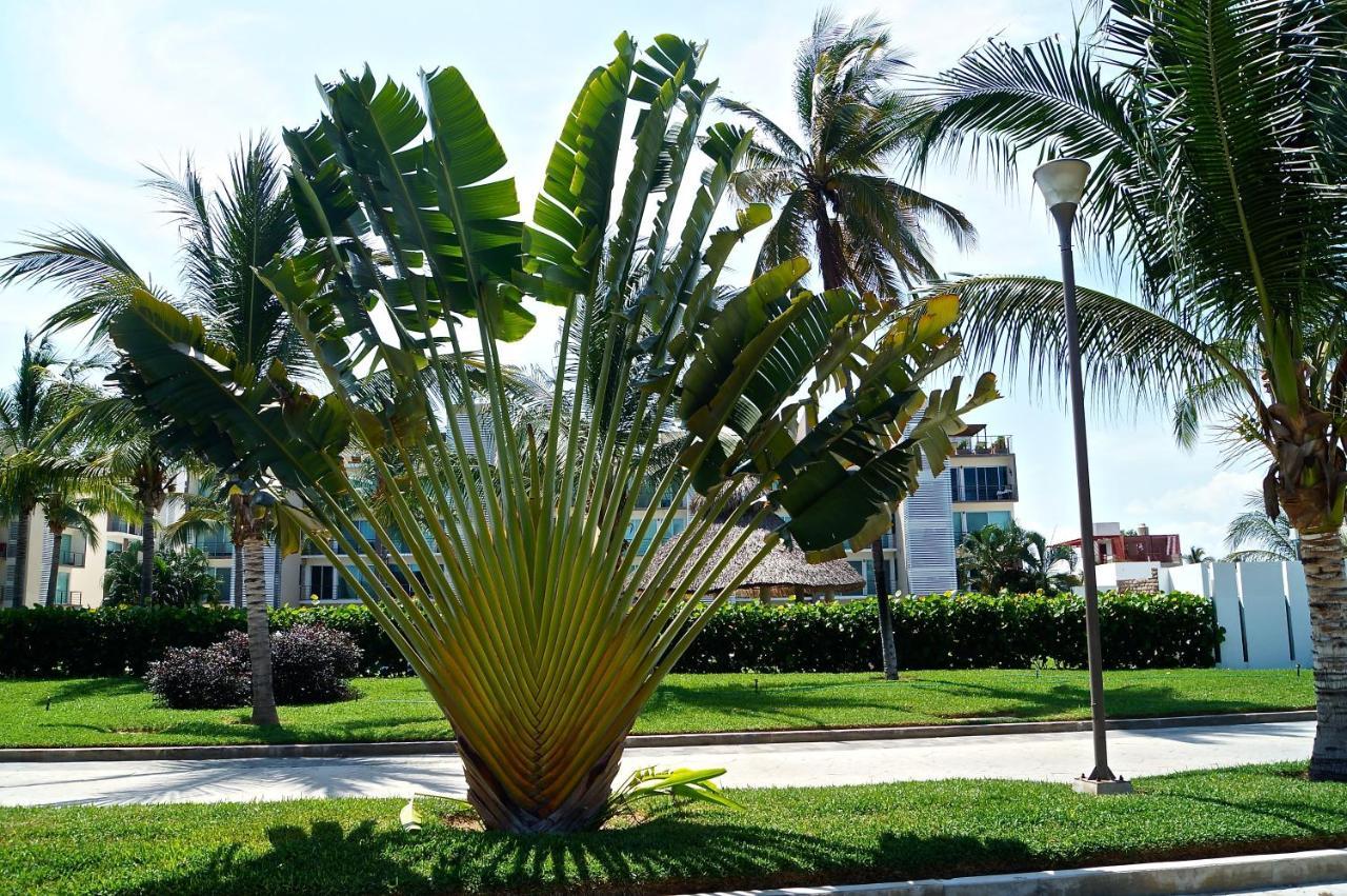 Penthouse Con Jacuzzi En Acapulco Diamante Apartment Bagian luar foto